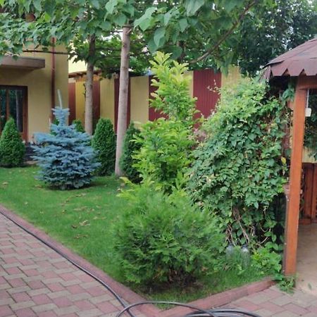 Cazare Buzau Apartman Kültér fotó