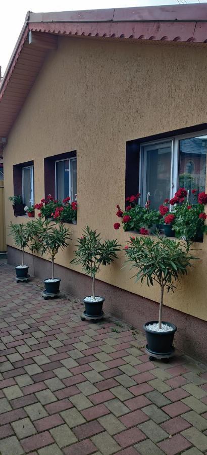 Cazare Buzau Apartman Kültér fotó